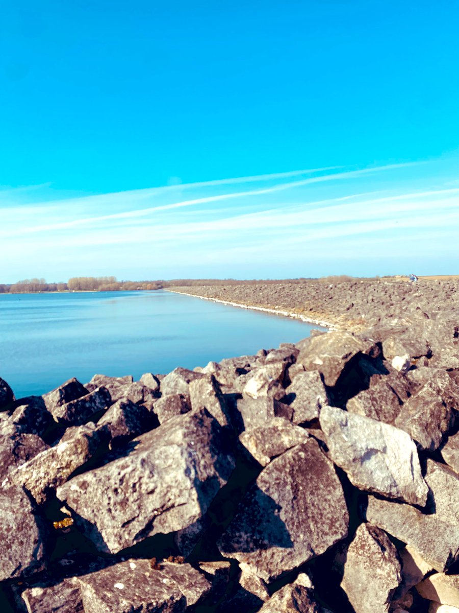 Andy Pearson tweet media