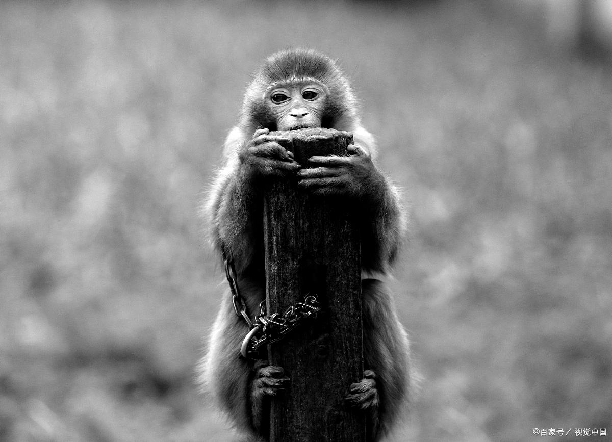 Rachel Yaung tweet media