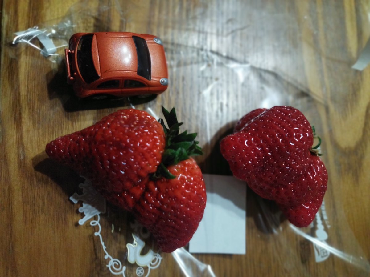 RKC クソ動画おじさん tweet media