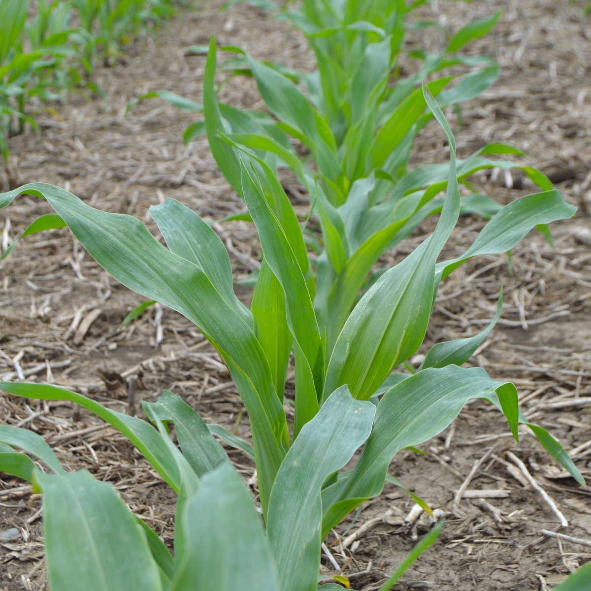 Ag Spectrum Company tweet media