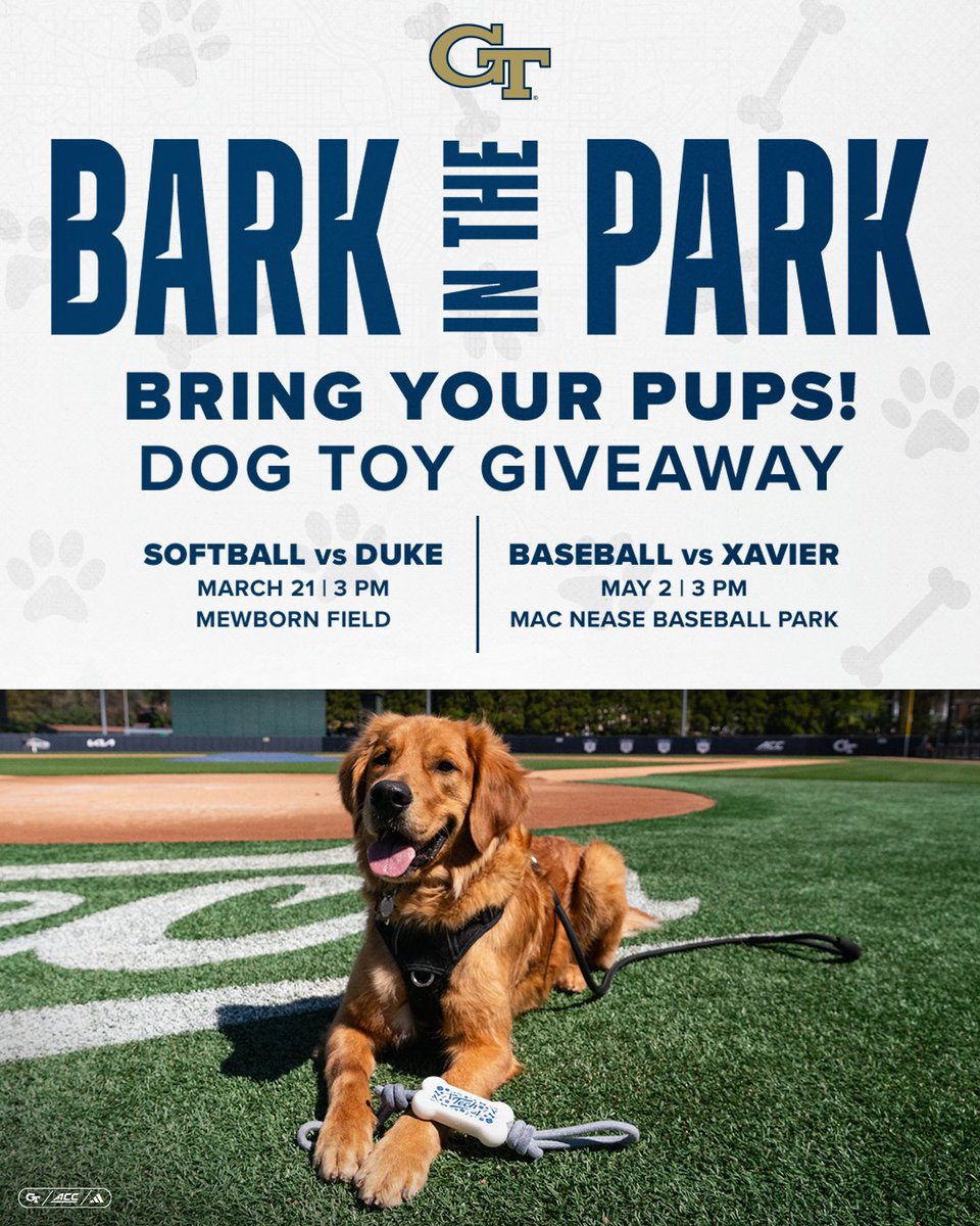 Georgia Tech Softball 🥇🥇🥇🥇🥇 tweet media