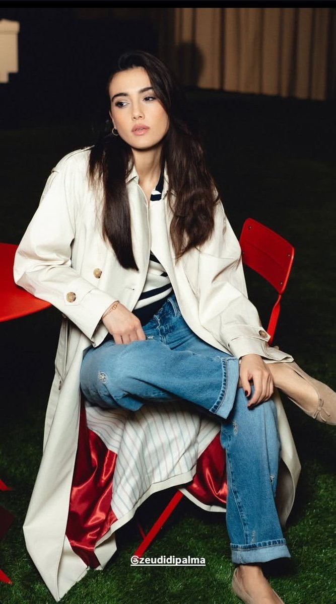 Zeudiners Argentina tweet media