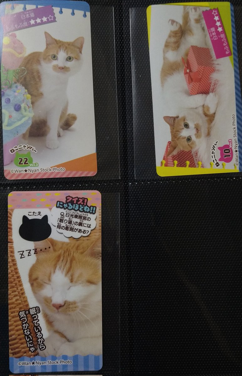 これは相互フォロワーのエミーちゃん(<a href="/ogroger/">エミー</a>)のきまぐれねこにゃんカードさ