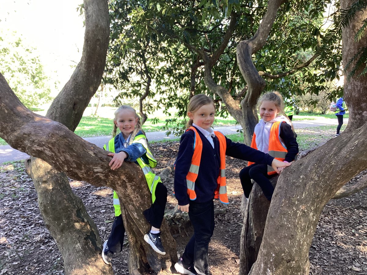 Year1_RCPS tweet media