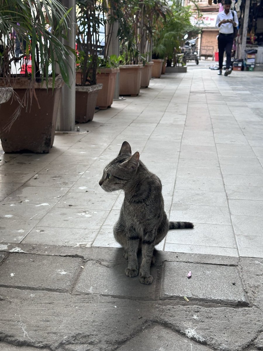 Janka in India 🇮🇳🪷 tweet media