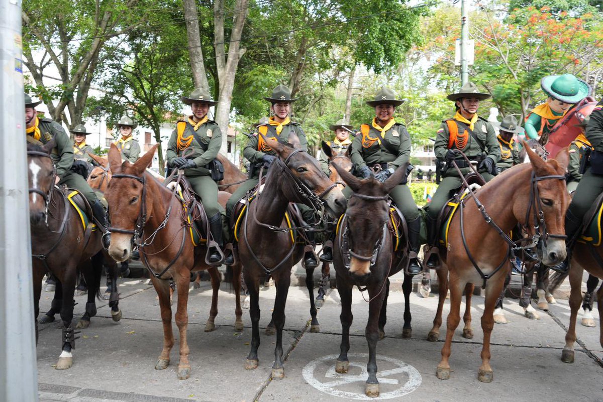 PoliciaStander's tweet photo. 🚨🐴 ¡La Ruta Carabinera llegó a #Santander!

Desde el municipio de #SanGil iniciamos nuestro recorrido por #Pinchote, #Socorro, #Paramo, #Confines y #Charala, fortaleciendo la seguridad y el acompañamiento a nuestras comunidades rurales.

#CarabinerosDeColombia #DiosYPatria https://t.co/8dXNAoBrH5