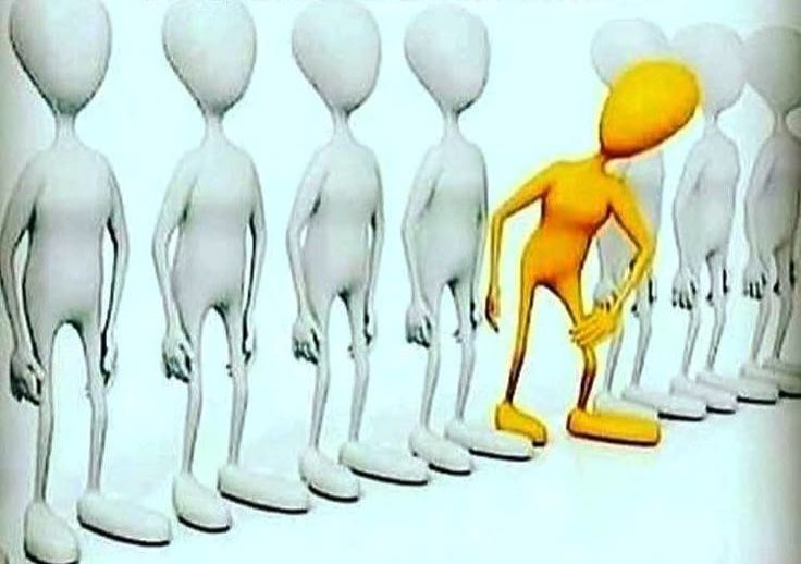 Sigmatic tweet media