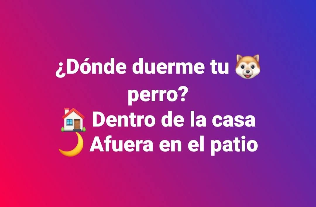 Manu Saenz💛💛 tweet media