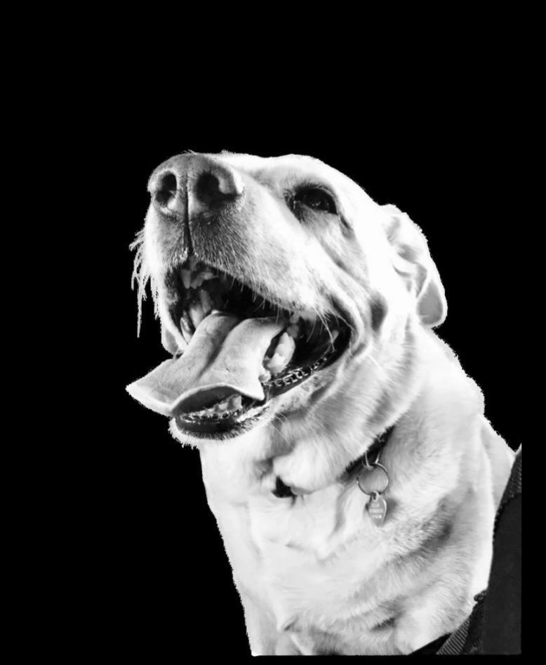 Sir Johnny OBE tweet media