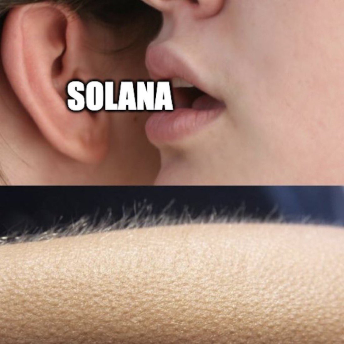 Scott | Web3 tweet media