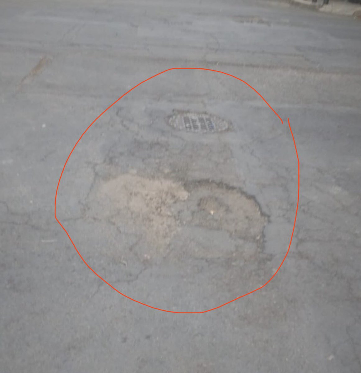 Flora Aldama tweet media