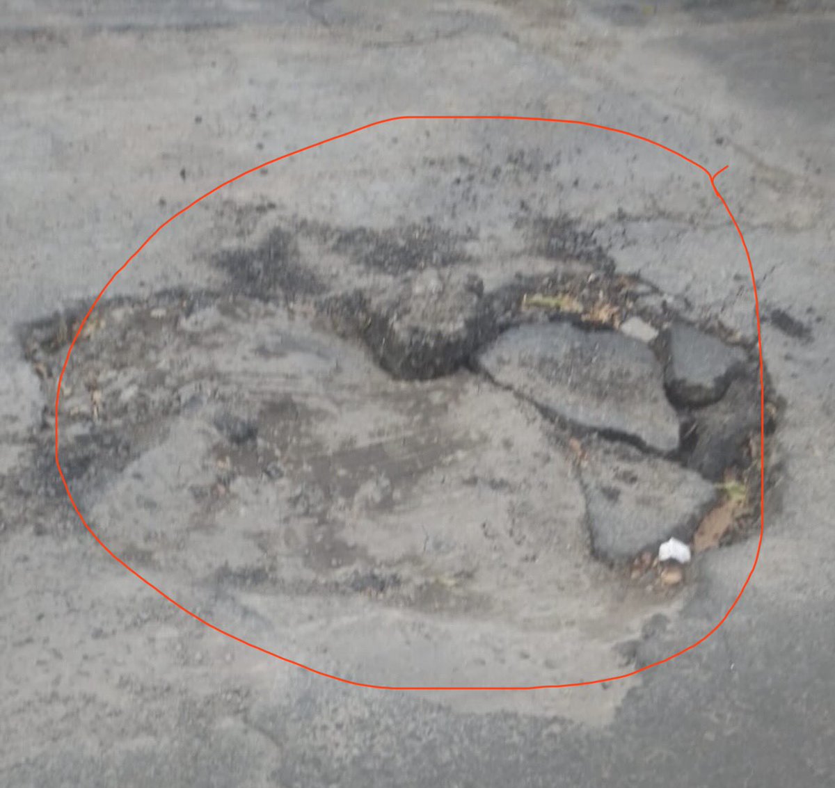 Flora Aldama tweet media