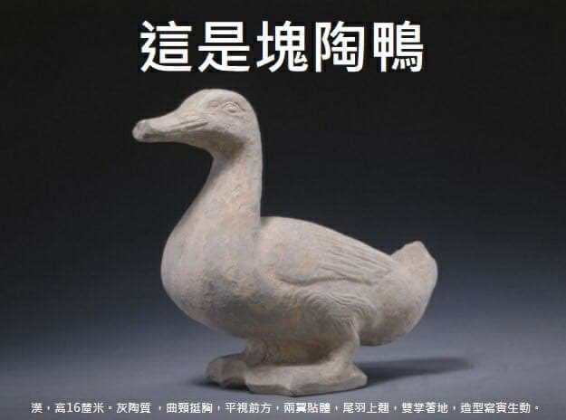 WayoftheTurtle tweet media