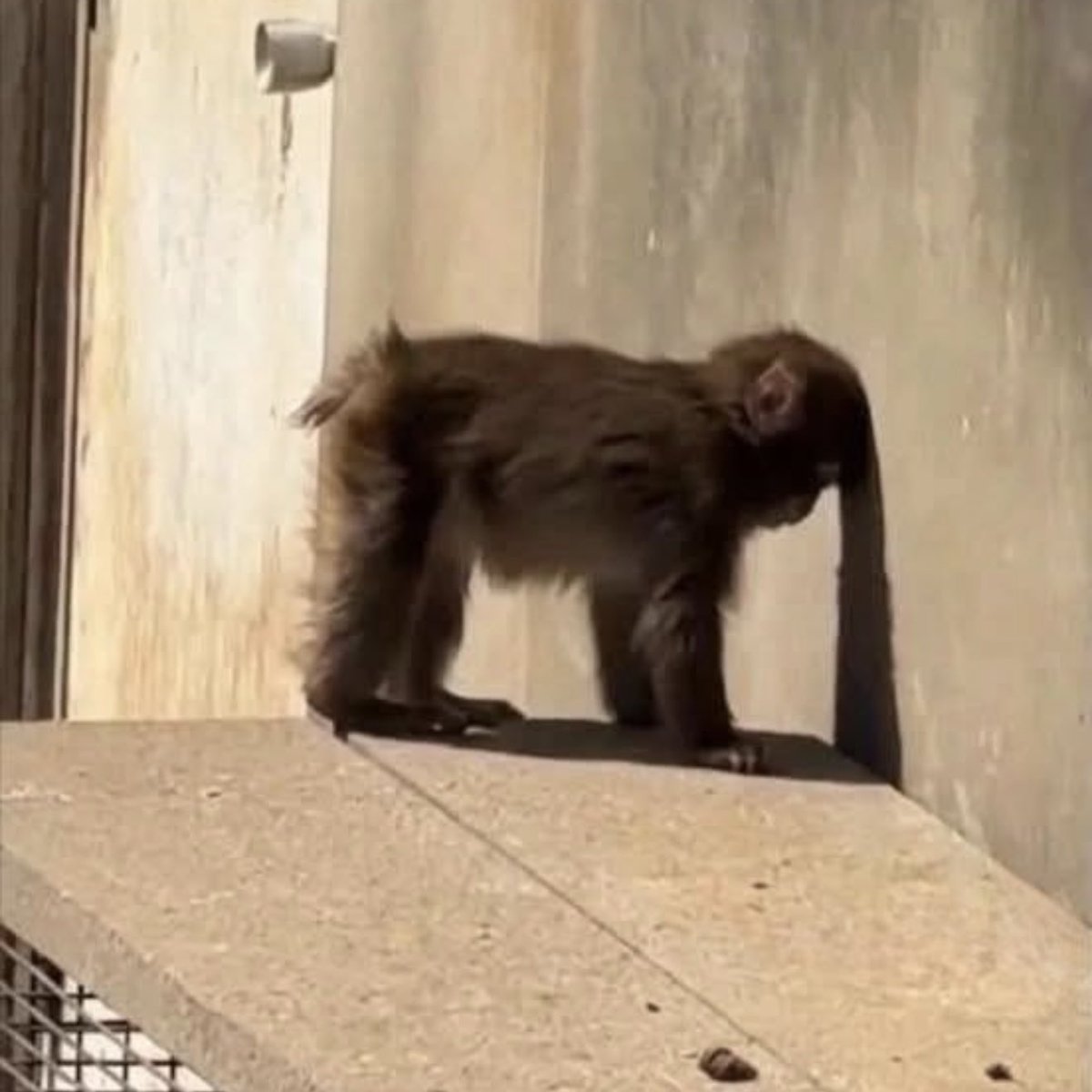 Tbh it’s worthless trying to convince you 

Better you see it for yourselves soon