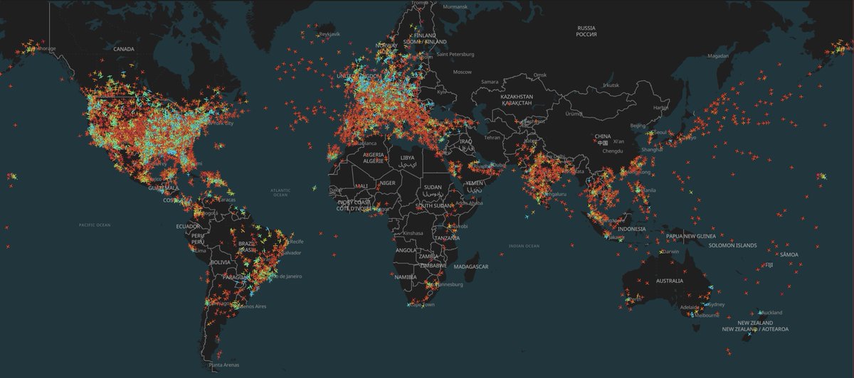 wingbits tweet media