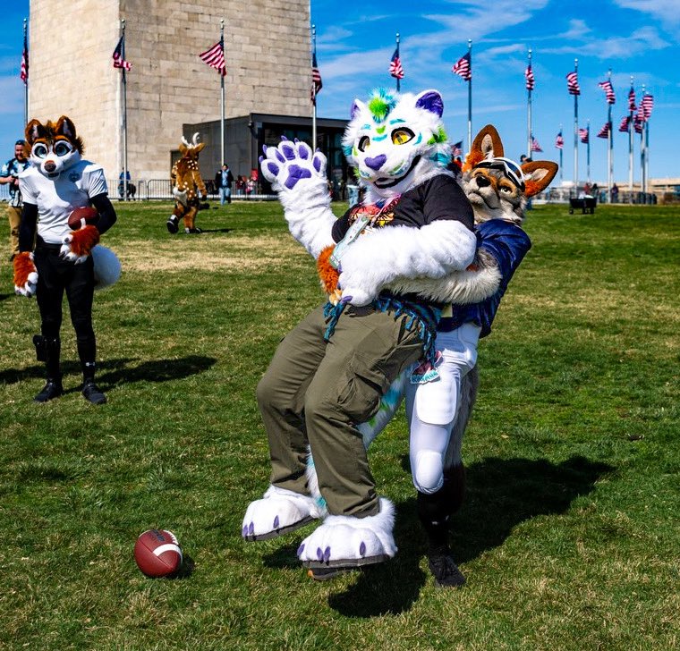 The Dog General tweet media