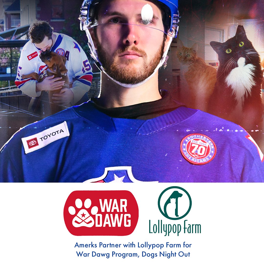Rochester Americans tweet media