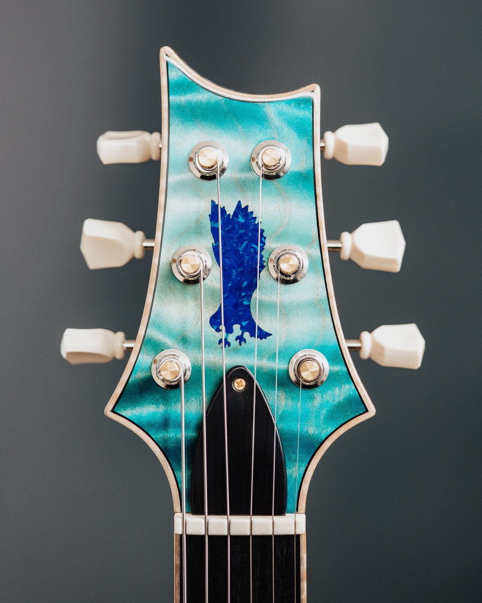 prsguitars's tweet photo. Swing into spring with this semi-hollow singlecut 🌱 Happy #privatestockfriday! https://t.co/asUWVhAOLi