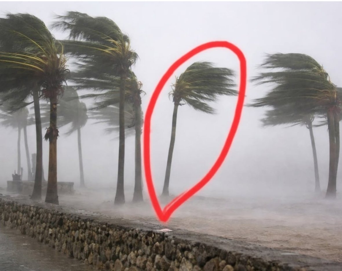 Narender Konreddy tweet media