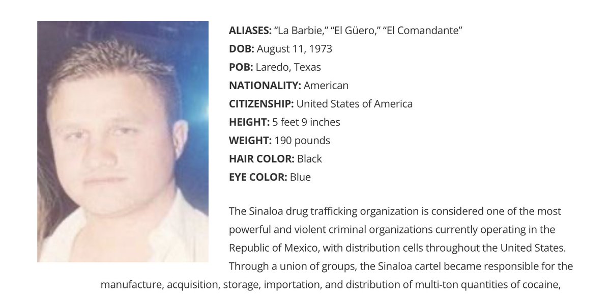 ☆Citizens Of Earth☆ tweet media