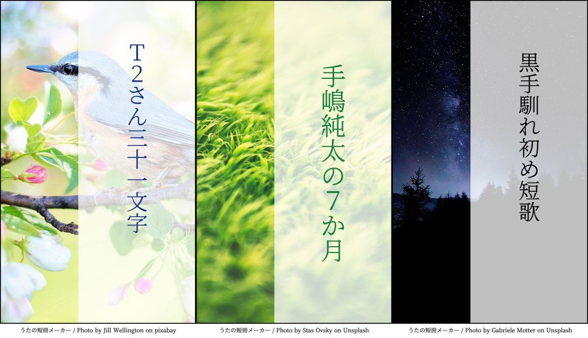 しなの tweet media