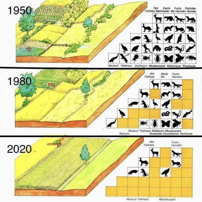 Jerome Foster II tweet media
