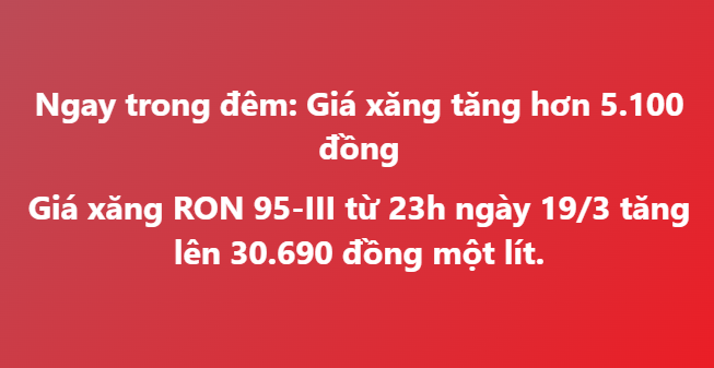 Thành Phan tweet media