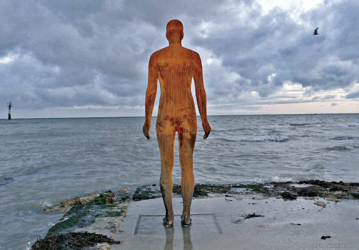 CommunityAd Ltd tweet media