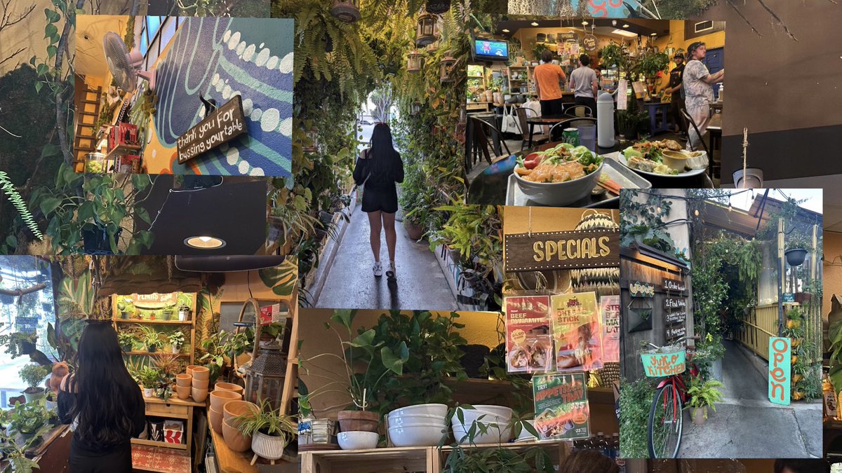 BanesaValencia's tweet photo. Sushi &amp; plants all in one 🌱

🍣🍱

Perfect 🤍 https://t.co/t4G2vJQP74