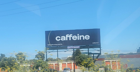 crow ∞ tweet media