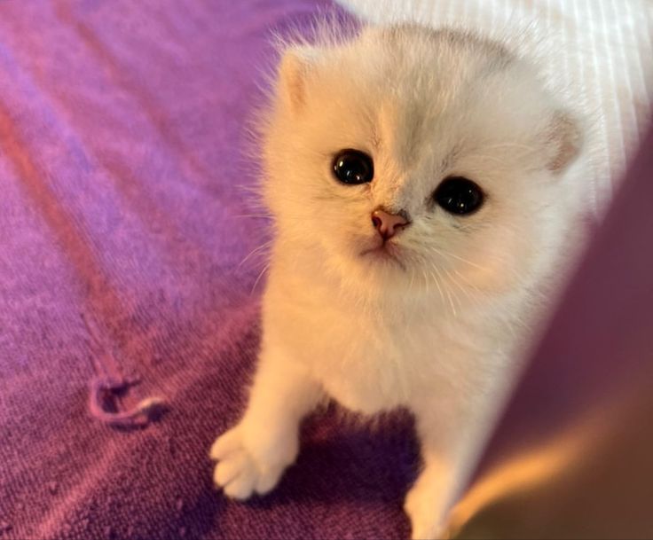 Vik 🌷 tweet media