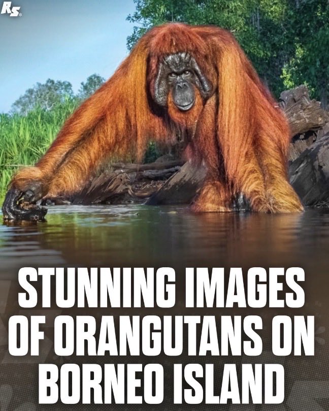 jakeures tweet media