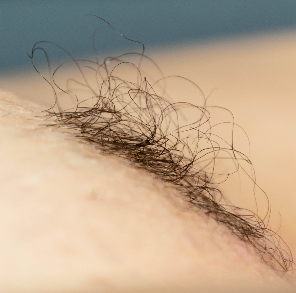 Duvalphotos's tweet photo. Un #jeudipussy un peu tard
Qui vient poser pour moi?
@OrgasmicGroup
@Defiscoquin
#femme
#modele
#photo
#shooting
#photographe
#nude
#poils
#pussy
#modelephoto
#studiophoto
#photographie
#phography
#photographer
#photoart
#art
#creation https://t.co/rc2Iyb8sjU