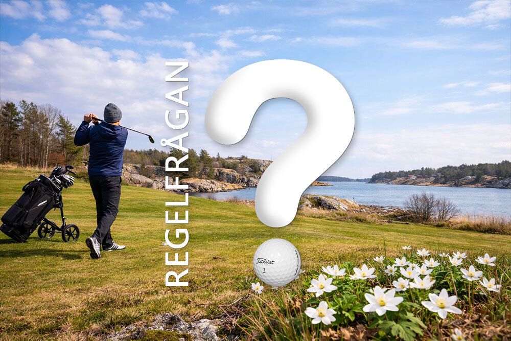 Golfprylar's tweet photo. https://t.co/4Knyhh5Dvc https://t.co/wBIr7JjzKZ