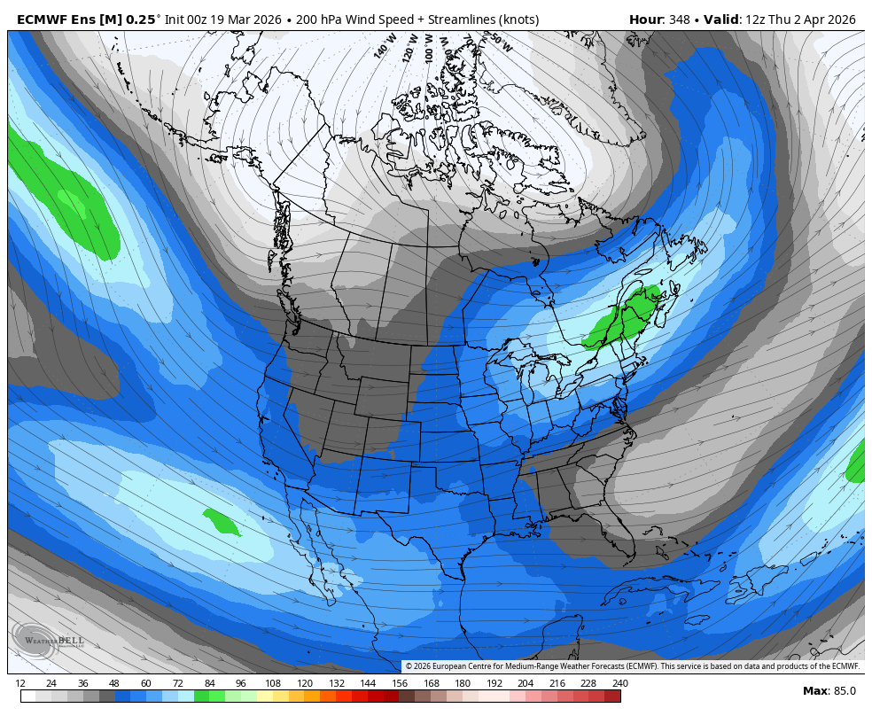 Andrew Pritchard tweet media