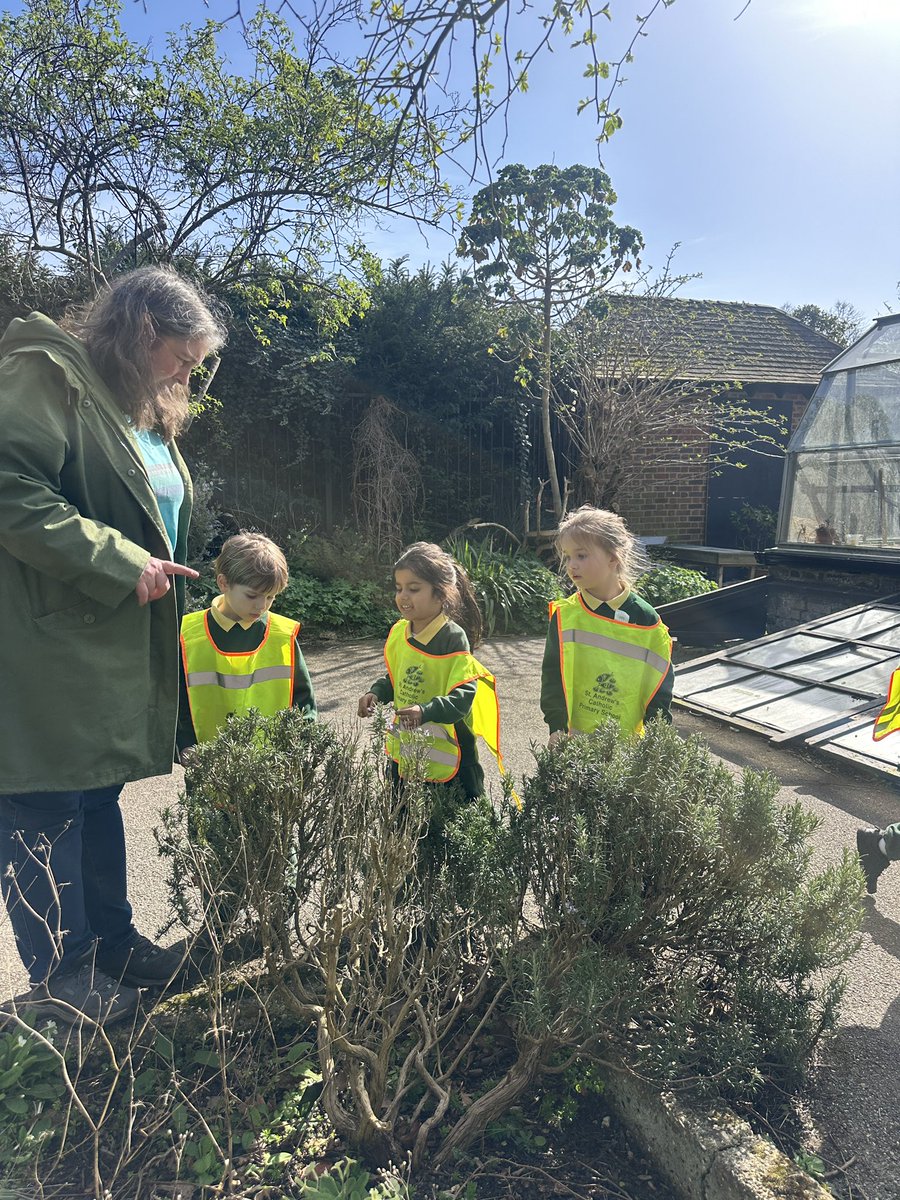 St Andrew’s EYFS tweet media