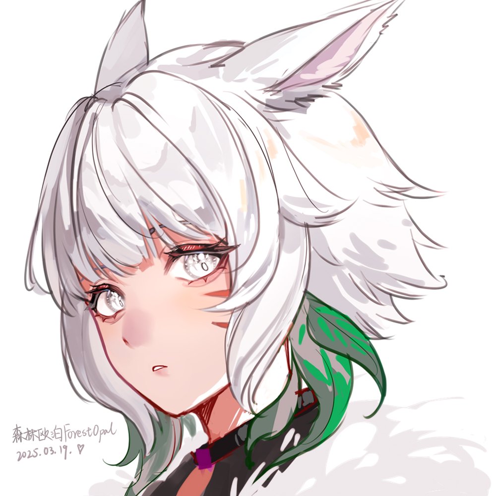 森林欧泊ForestOpal tweet media