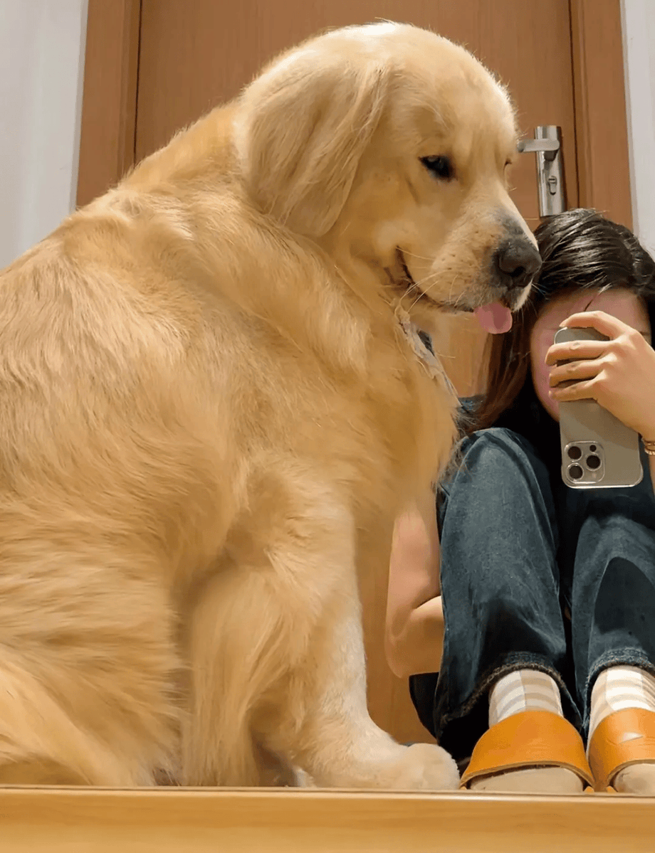 marie-claude GIRAN tweet media