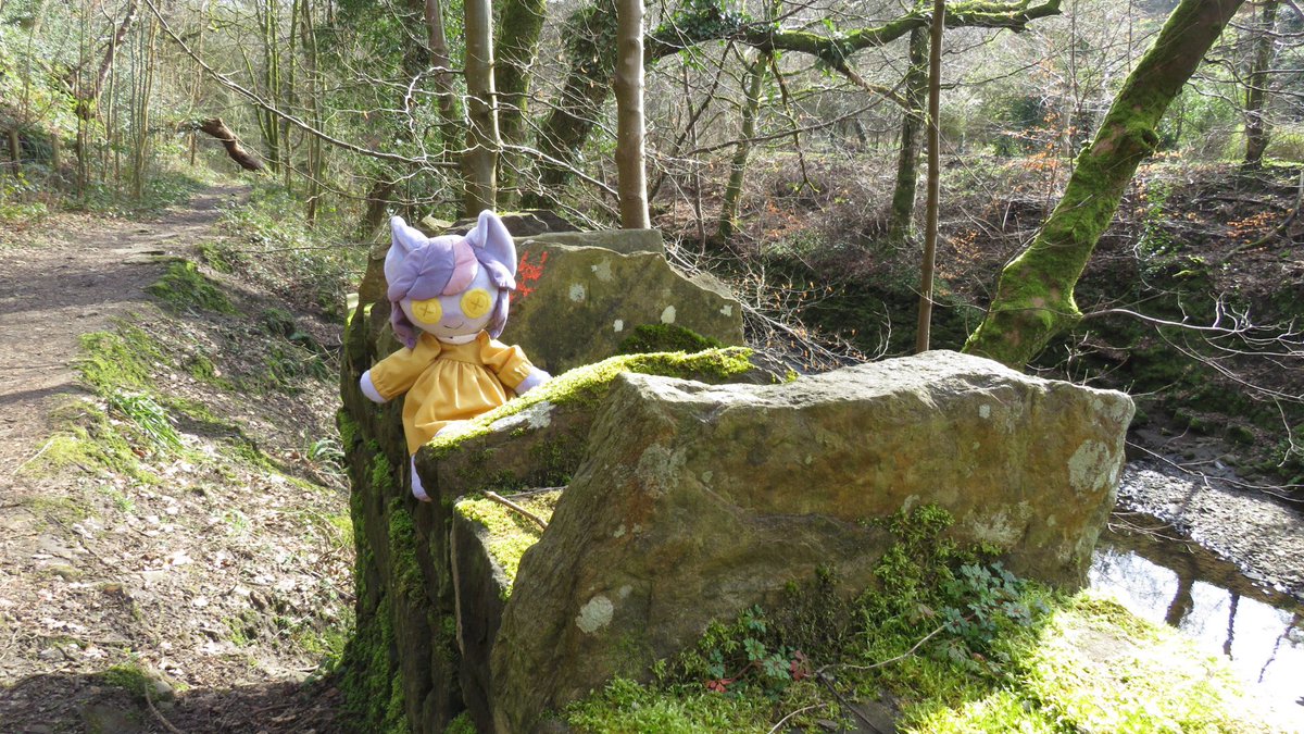 Literally Blutwurst WoofWoof tweet media