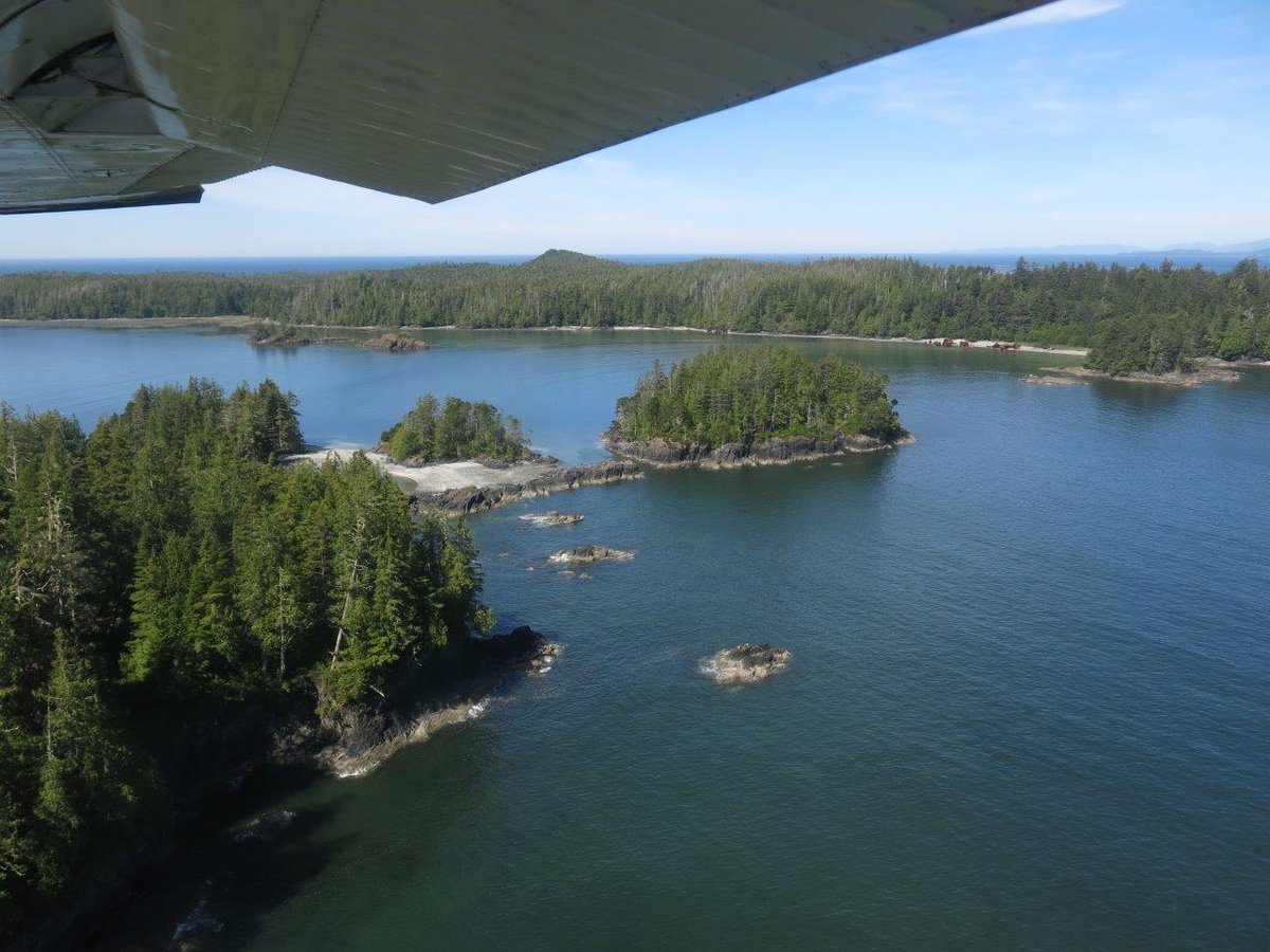 coastalbliss's tweet image. If you love wilderness hiking, Vancouver Island should be on your list. The West Coast Trail, Cape Scott Trail, and Nootka Island Trail offer some of Canada’s most spectacular coastal journeys. 🌊 #BackpackingAdventure f.mtr.cool/apvjoziaeh
