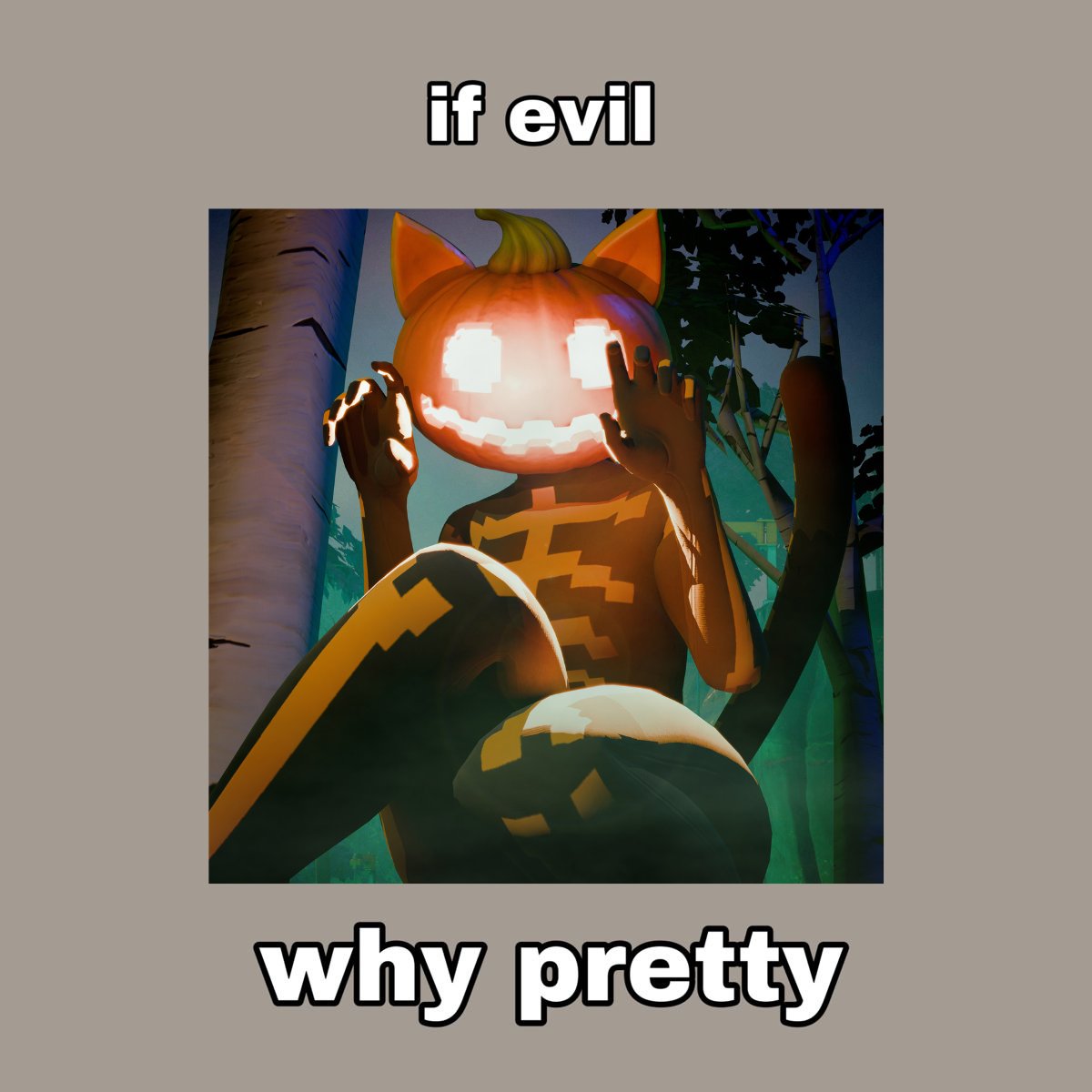 gold pumpkin cat lady 🧡 tweet media