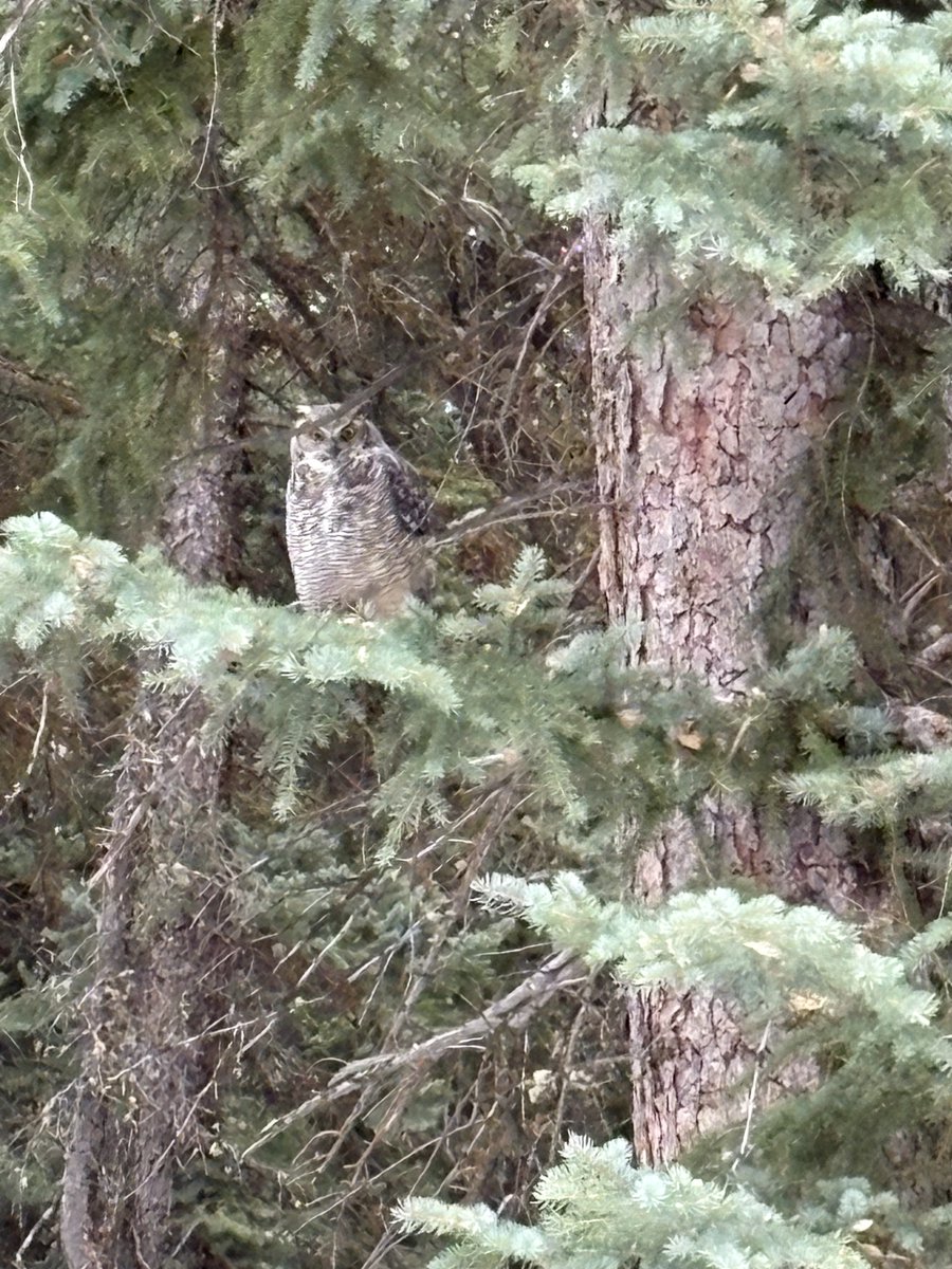 Erik Radle tweet media