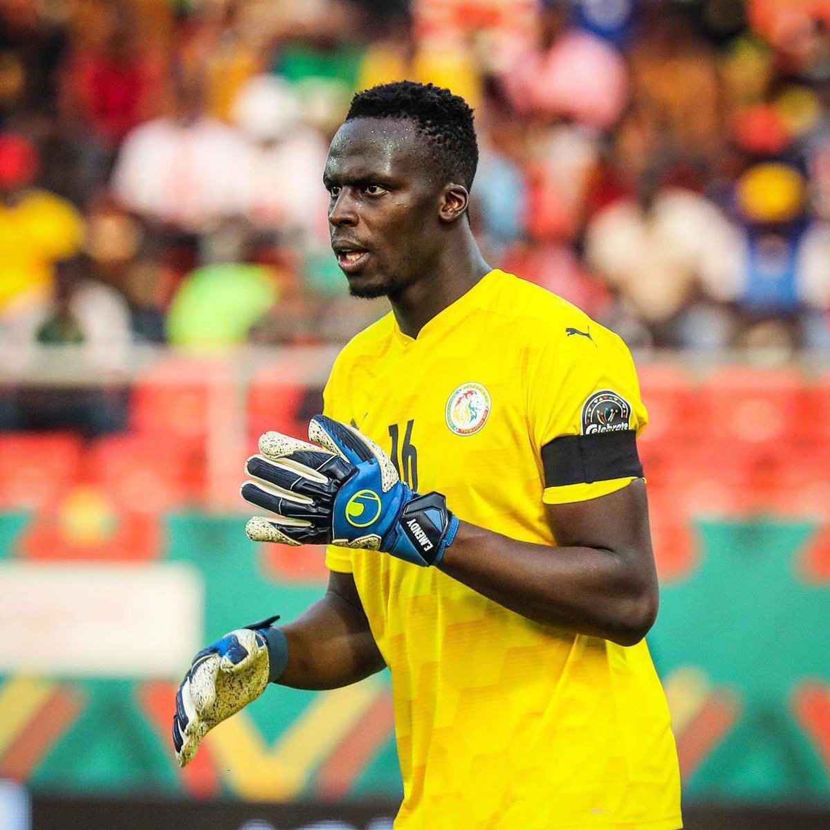 شبكة الأهلي tweet media