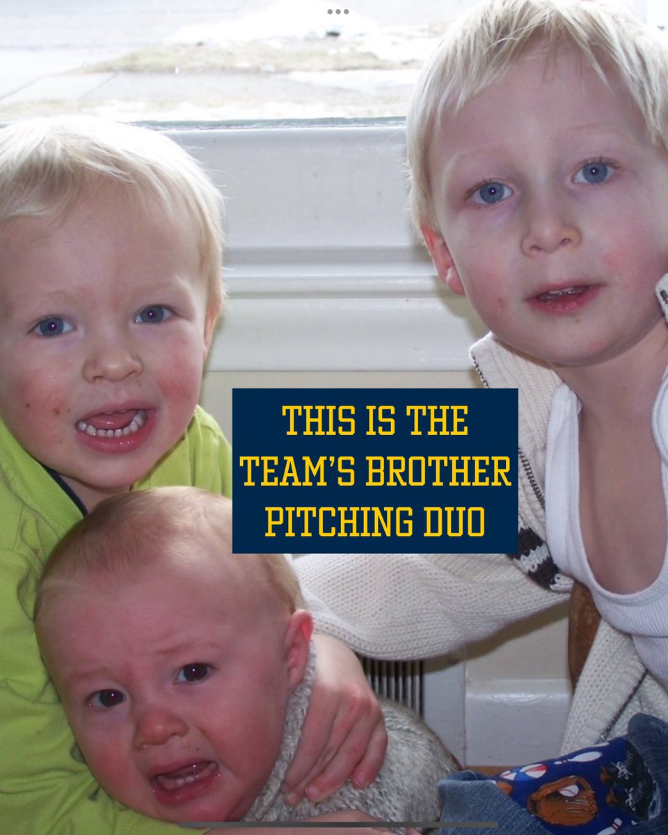 Michigan Baseball tweet media