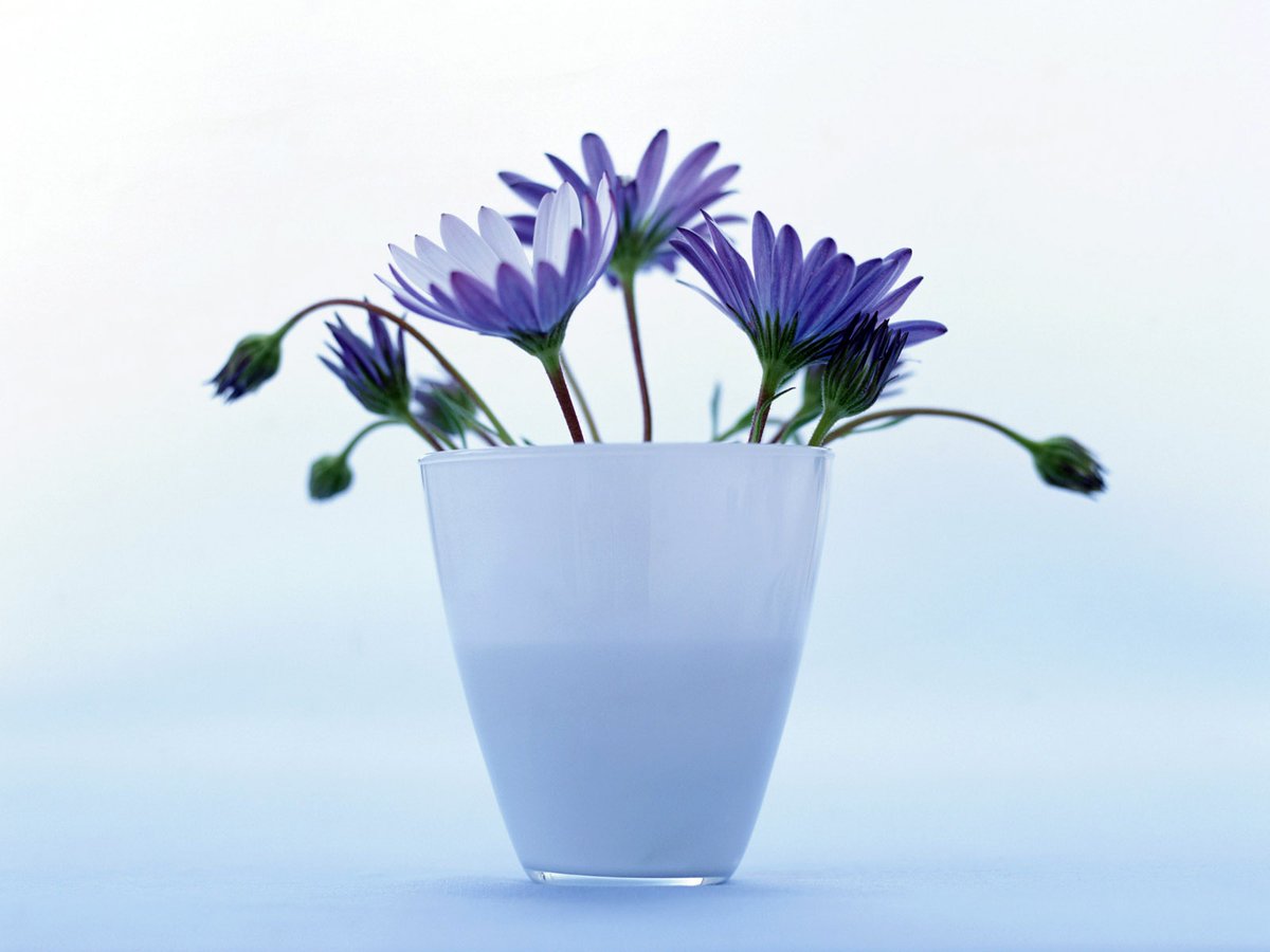 李剑锋 tweet media