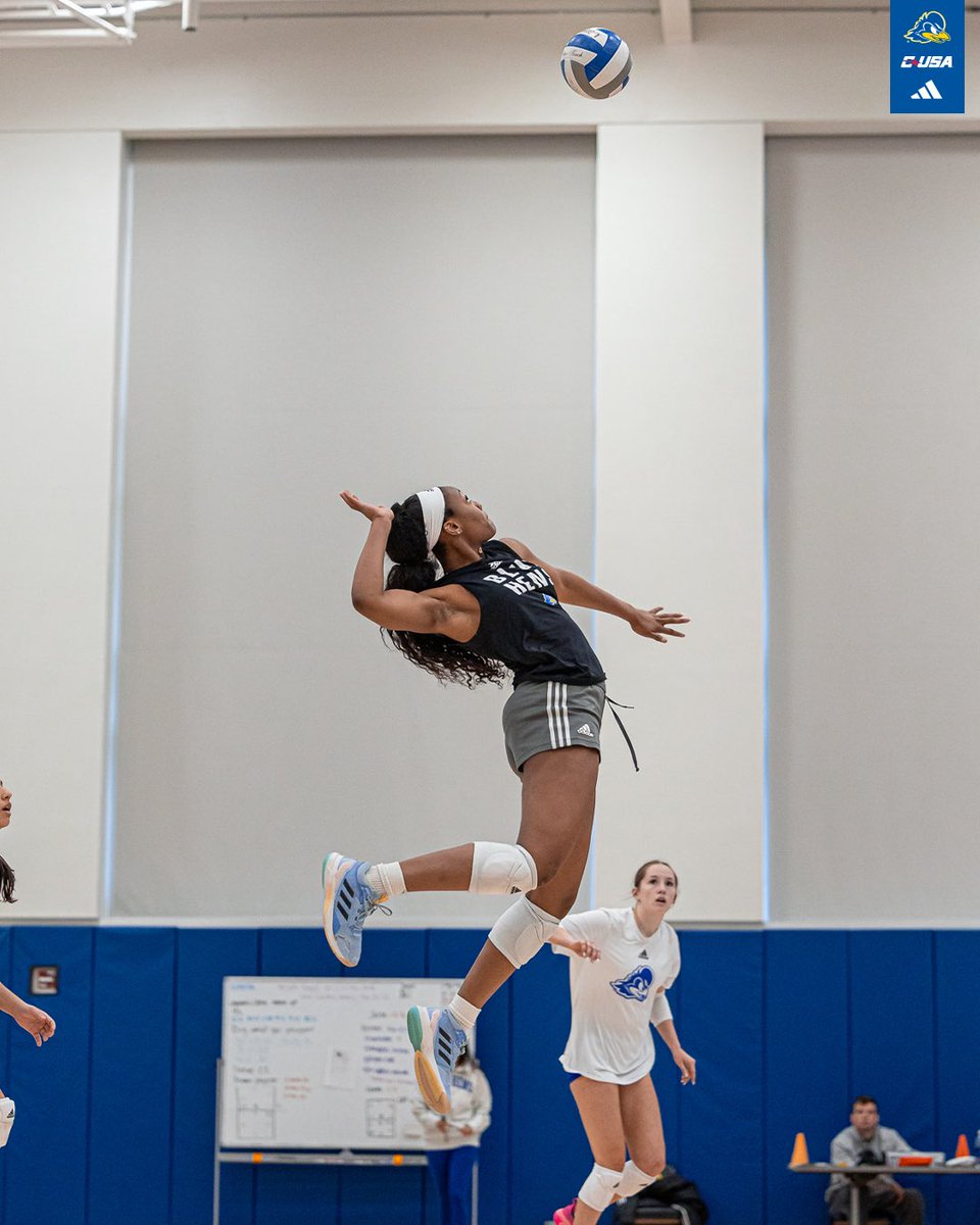Delaware Volleyball tweet media