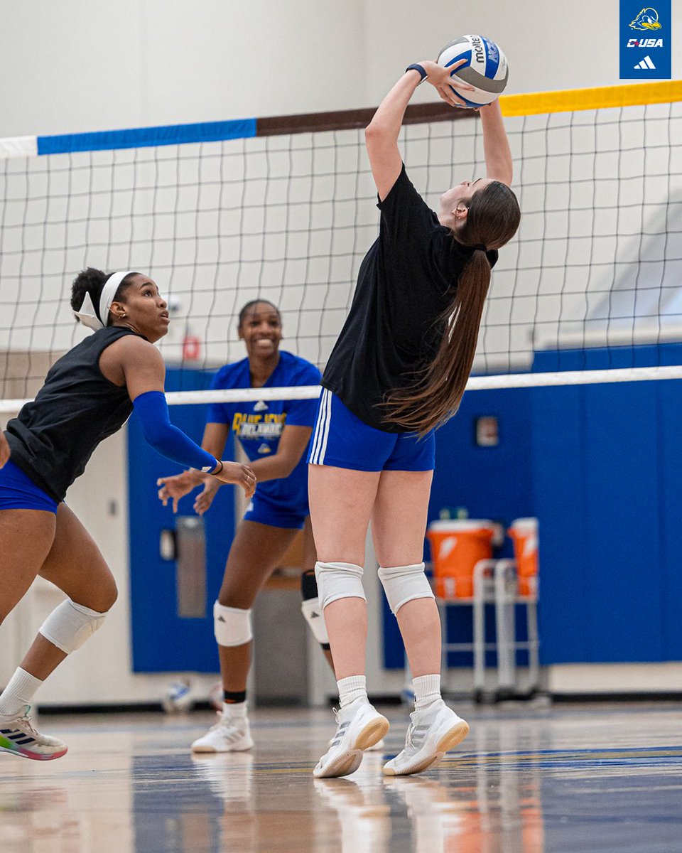 Delaware Volleyball tweet media