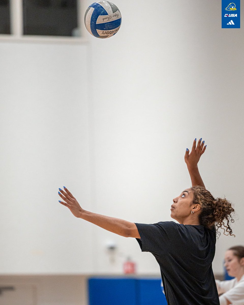 Delaware Volleyball tweet media