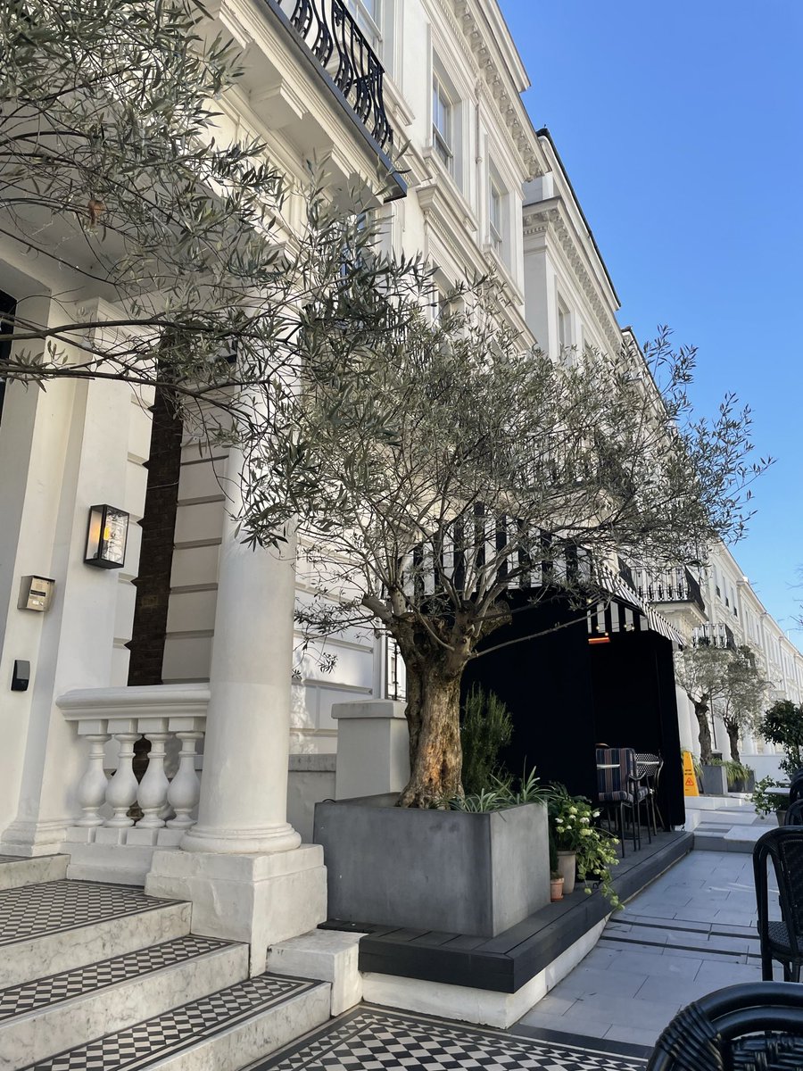 cosmic cowgirl 🪩🤠 tweet media