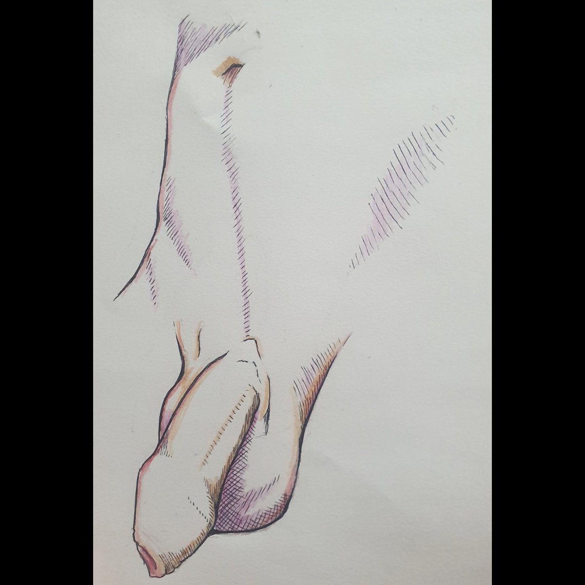 I forgot to post this nsfw drawing I have made not soo recently 
#penis #dick #cock #male #model #nsfw